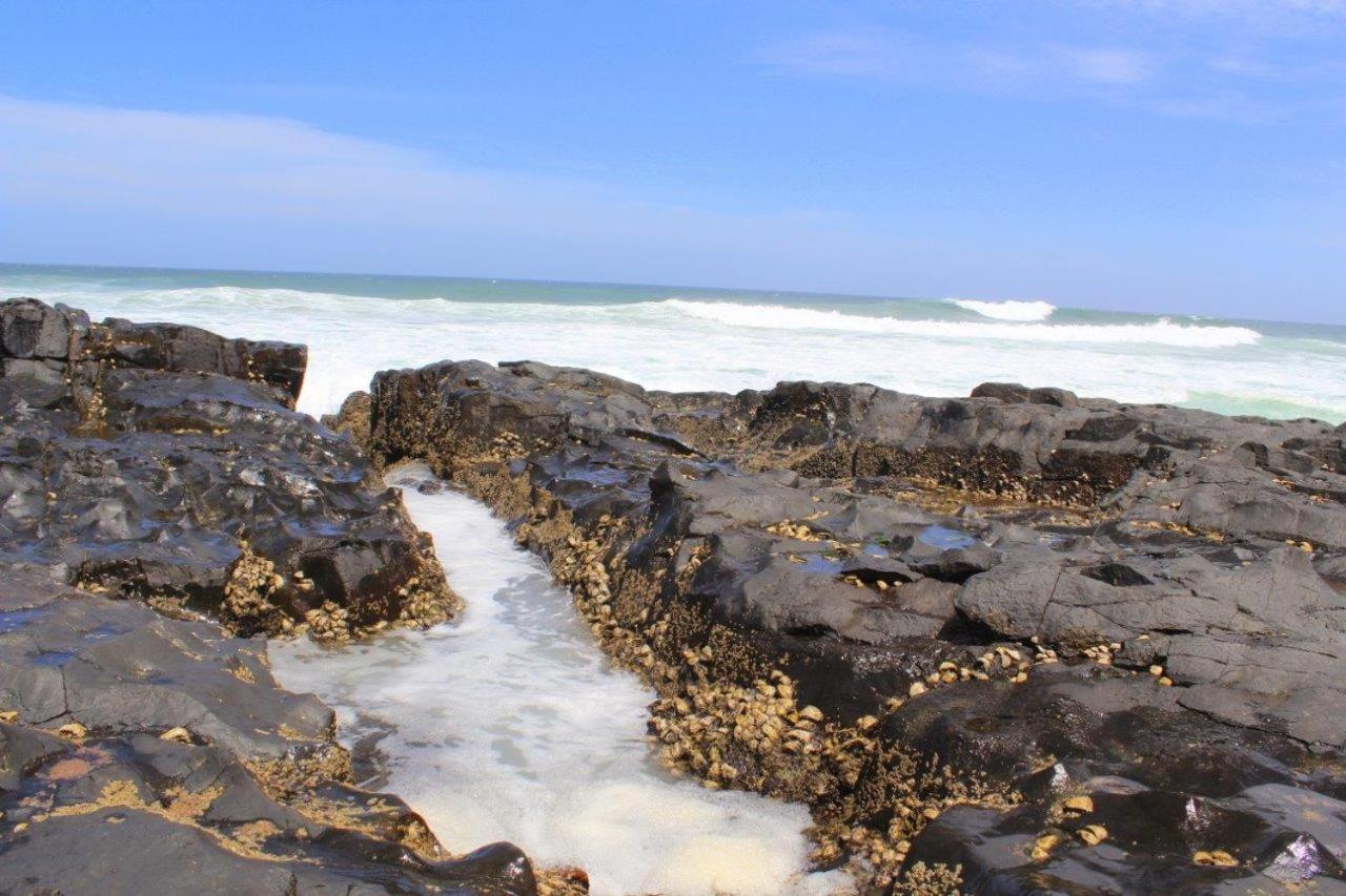 Silver Dolphin Holidays Apartment Amanzimtoti Bagian luar foto