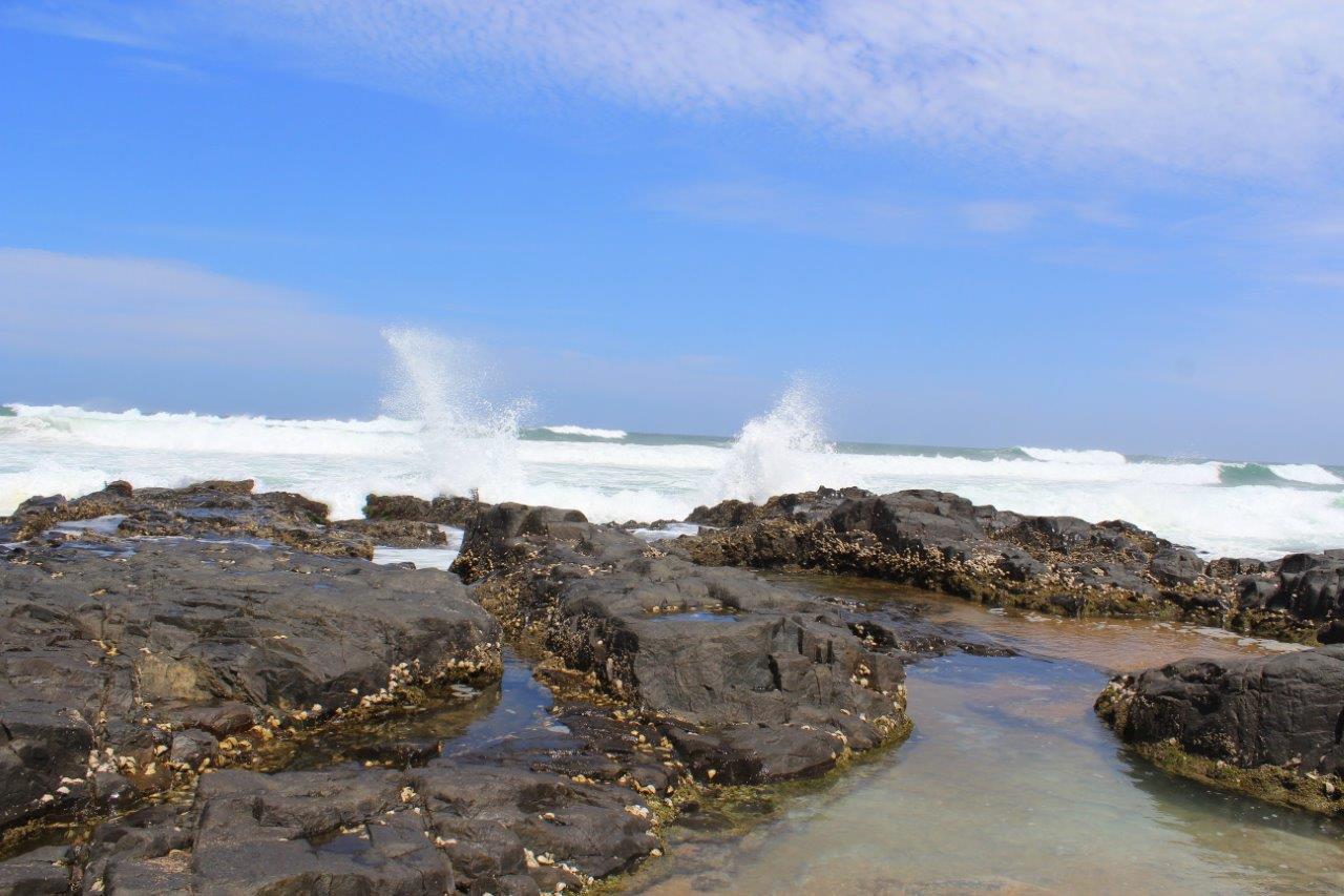 Silver Dolphin Holidays Apartment Amanzimtoti Ruang foto
