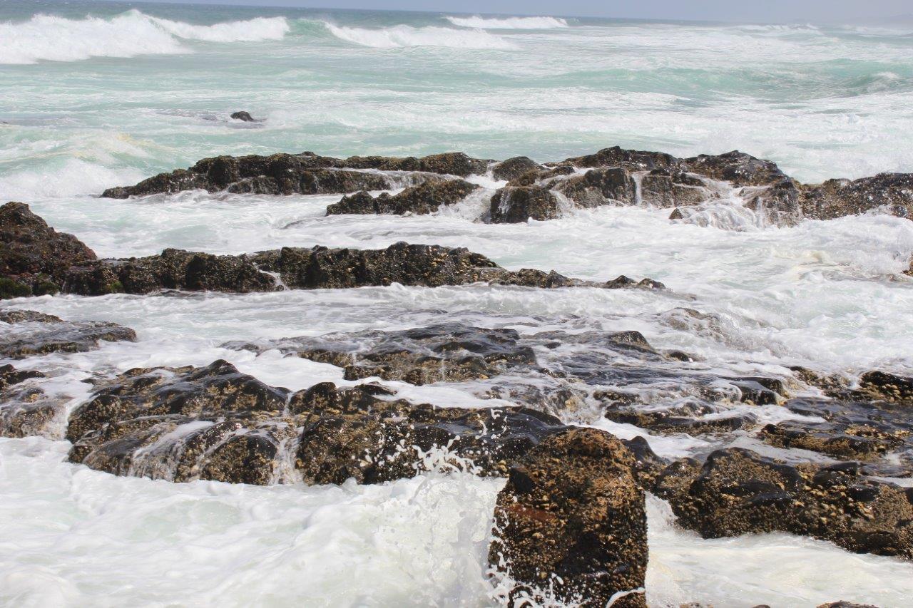 Silver Dolphin Holidays Apartment Amanzimtoti Ruang foto